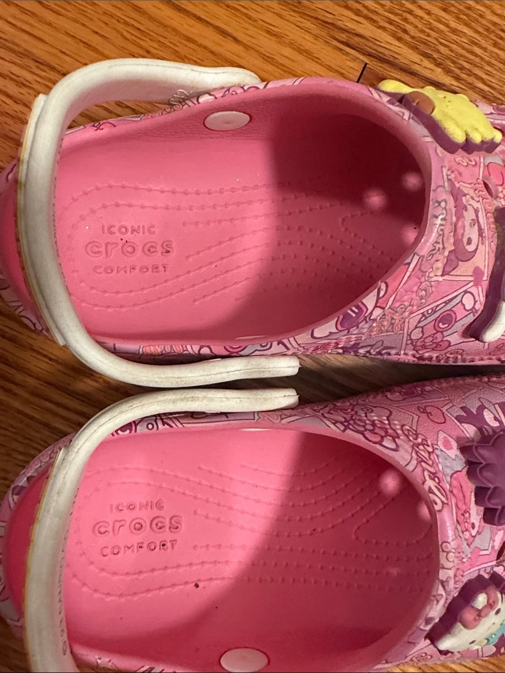CROCS Kids Pink Character Slip-On Clogs with Backstrap